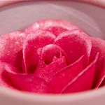 U9374-Rubor-Iluminador-Rosa-Bloomshell-H374-2