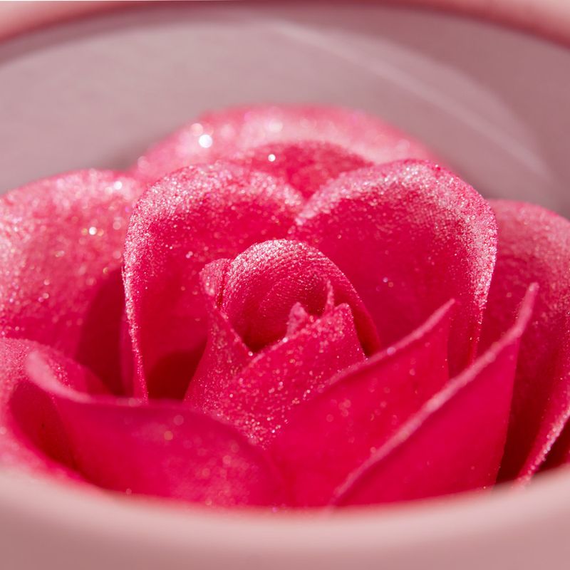 U9374-Rubor-Iluminador-Rosa-Bloomshell-H374-2