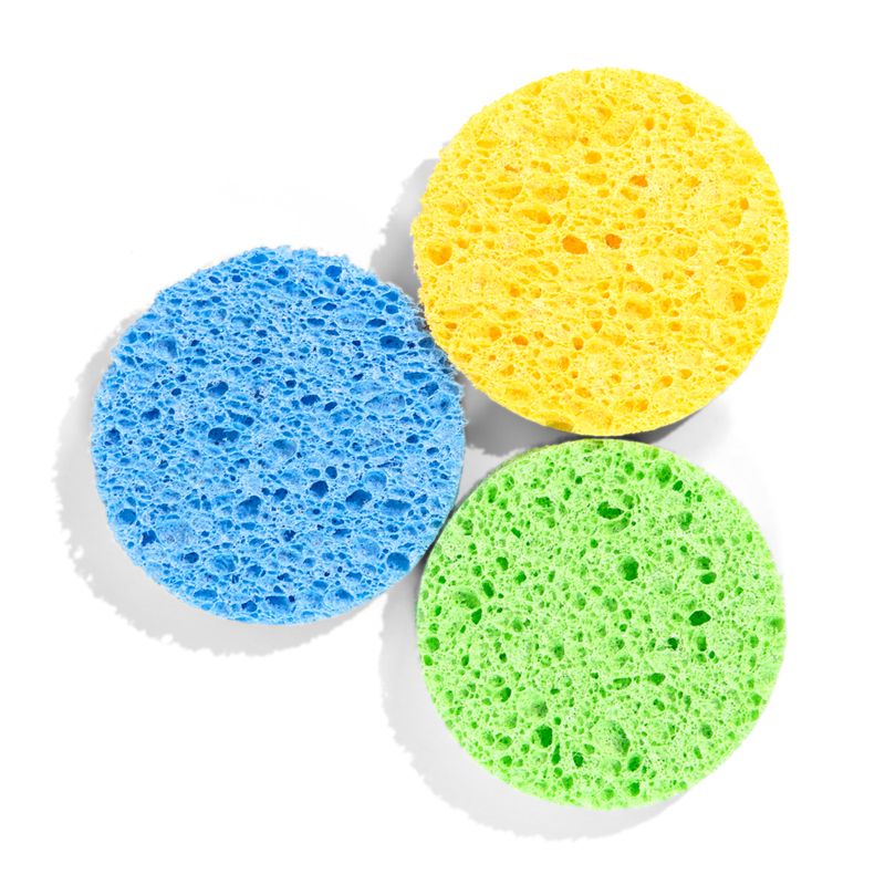 esponjas-de-celulas-1