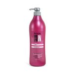 shampoo-recamier-salon-in-liss-control-x1000ml-089604