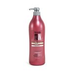 084301-shampoo-recamier-salon-in-color-guard-x1000ml