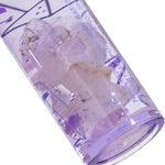 U71738-Brillo-Labial-Trendy-Amatista-BAT1738-2