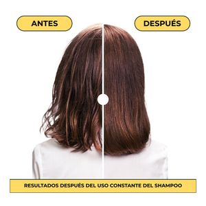 Shampoo Hidratante Naissant Control Graso x300ml