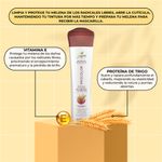 shampoo-naissant-procolor-x300ml-5912999-2