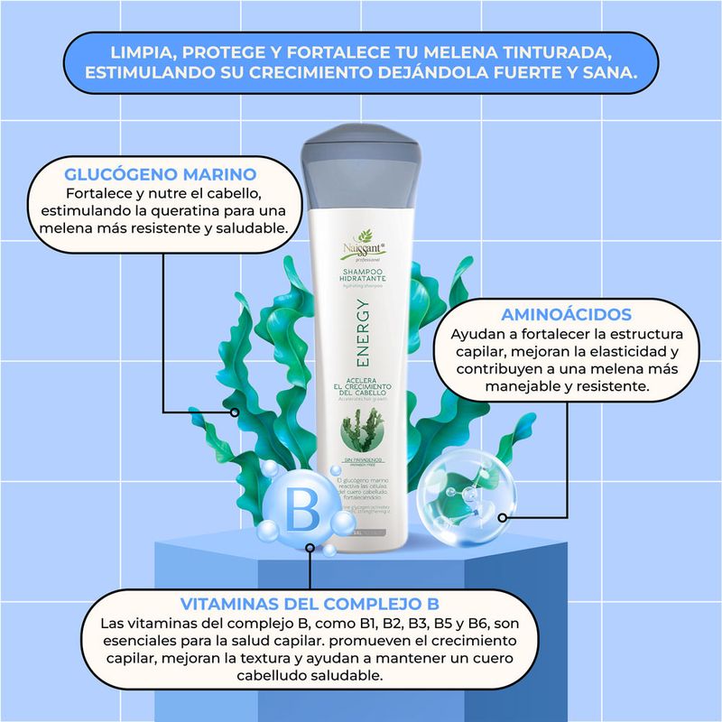 5913000-Shampoo-Naissant-Energy-X300ml-1