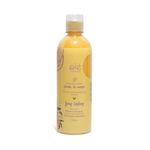 acondicionador-jarabe-de-mango-1