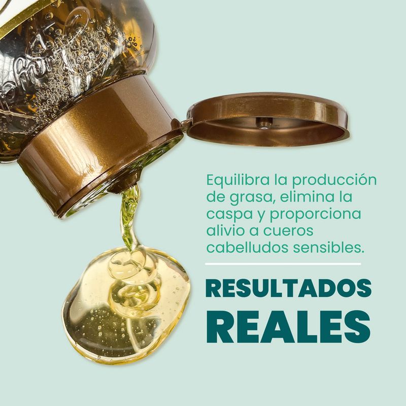 Y245261-Shampoo-Anyeluz-Romero-x500ml-2