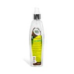 343920-Aceite-Corporal-Bell-Franz-Coco