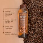 Y254624-Shampoo-Cafe-x500ml-Anyeluz-2.jpg